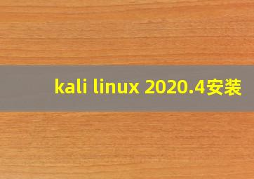 kali linux 2020.4安装